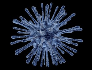 acute disseminated encephalomyelitis