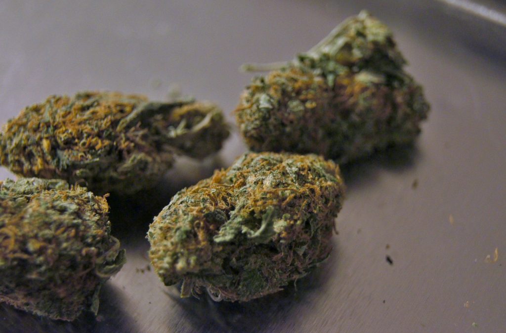 marijuana bud